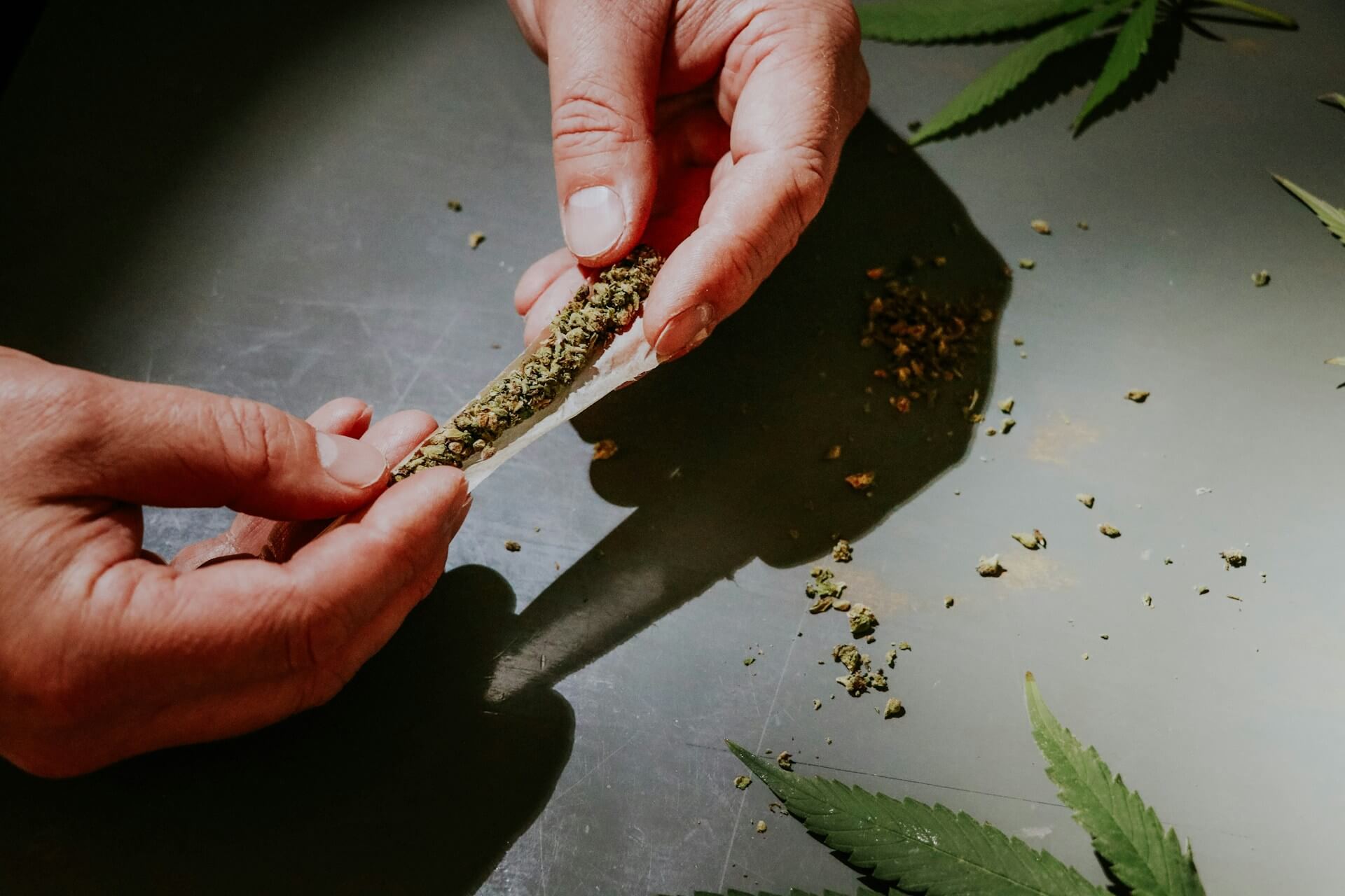 Infused vs Regular Pre-Rolls in 2026