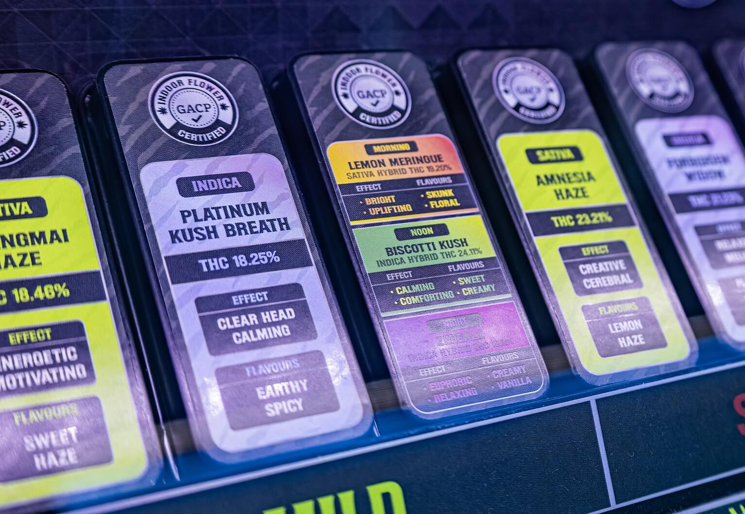 How KiefEZ Is Changing the Future of Cannabis Packaging in Thailand