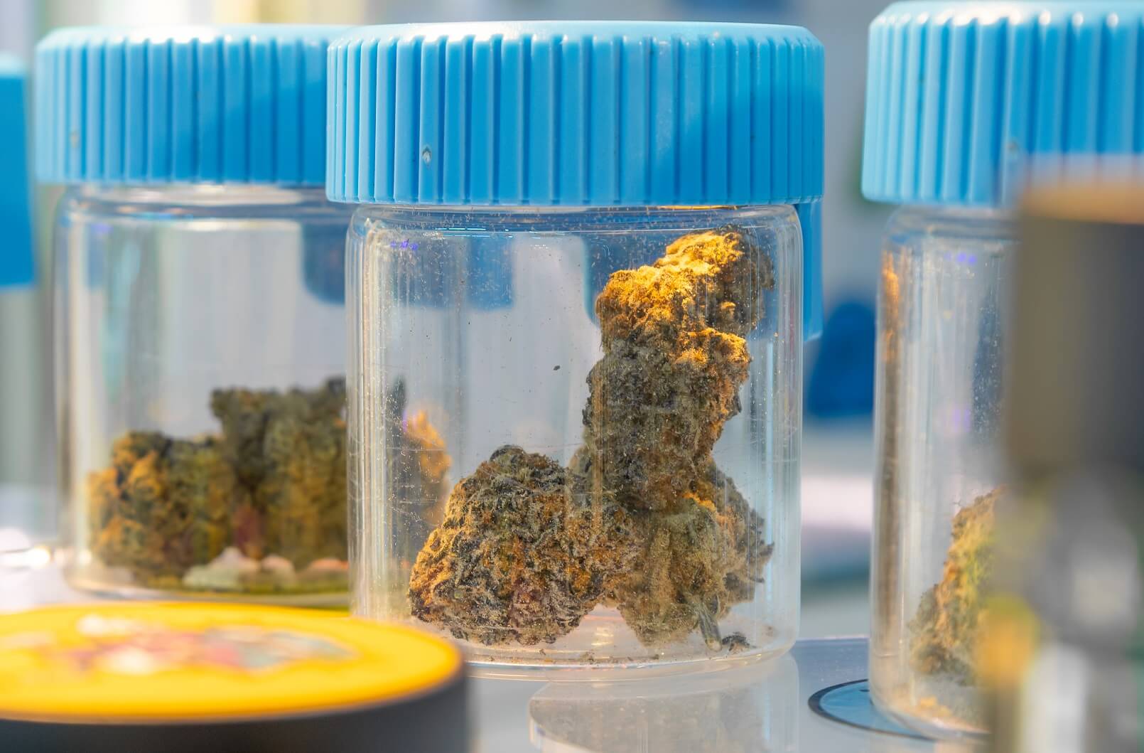 Infused Cannabis Products in Bangkok Are Reshaping Thailand’s Smoking Culture