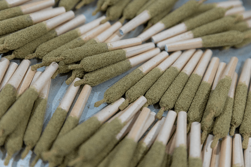 the Best Pre Rolls in Bangkok