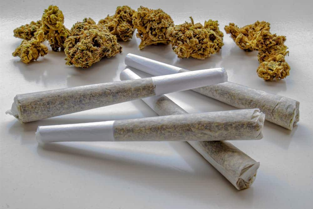 Premium Pre-Rolls in Bangkok Are Replacing Basic Dispensary Joints