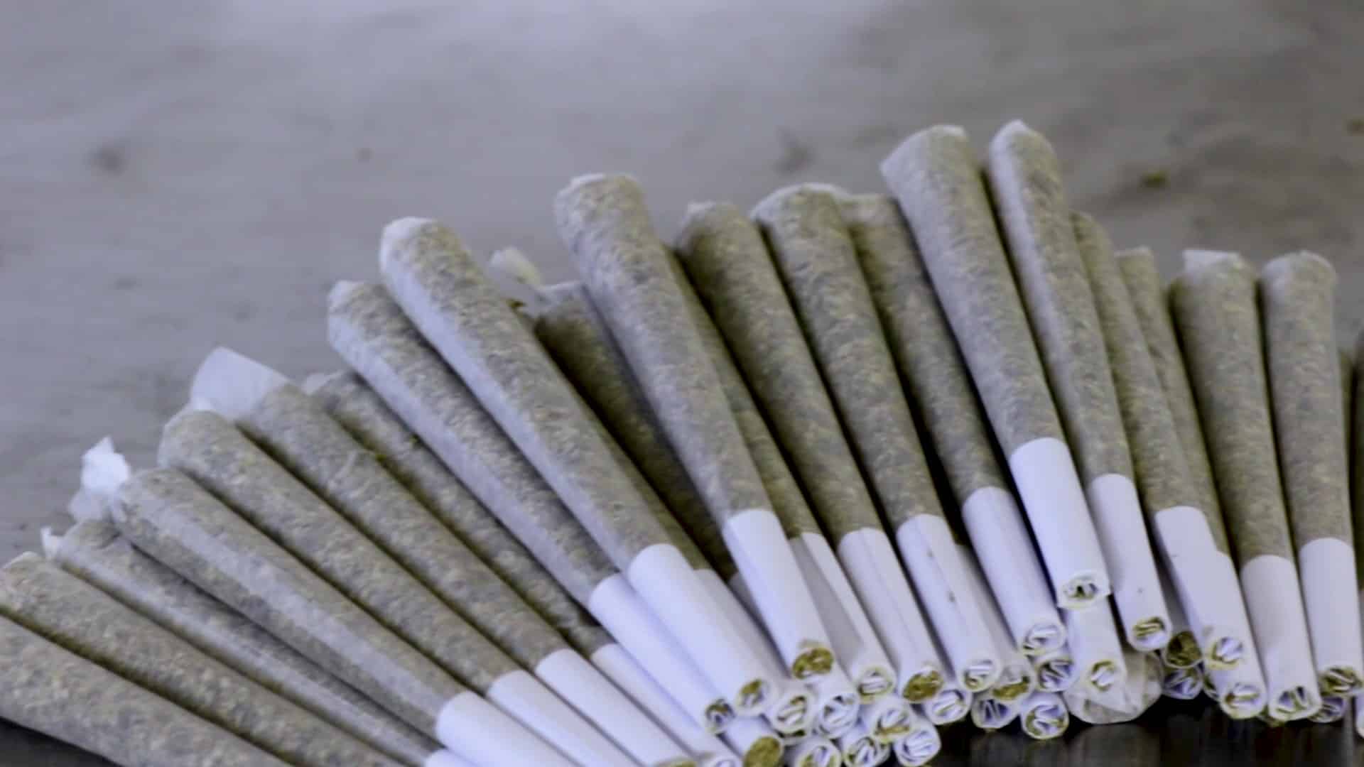 Premium Pre-Rolls in Bangkok