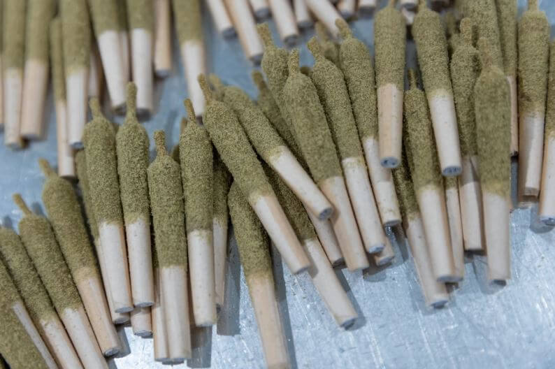 Infused Pre-Rolls Explained: What Makes Them Different From Standard Pre-Rolls?